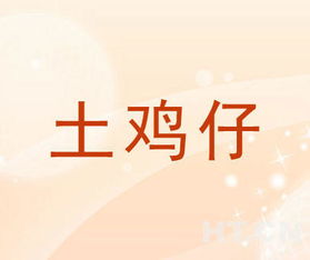 土雞仔商標(biāo)轉(zhuǎn)讓推薦信息與網(wǎng)絡(luò)信息轉(zhuǎn)讓指南