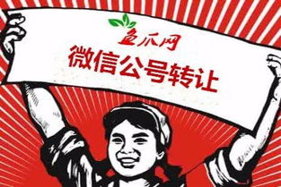 今日頭條賬號(hào)審核不通過或被封禁的應(yīng)對(duì)策略與網(wǎng)絡(luò)信息轉(zhuǎn)讓注意事項(xiàng)